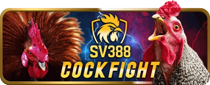 Hình ảnh minh họa việc thu thập dữ liệu an toàn tại i9bet150 app